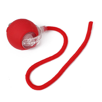 Interactive Silicone Pet Ball
