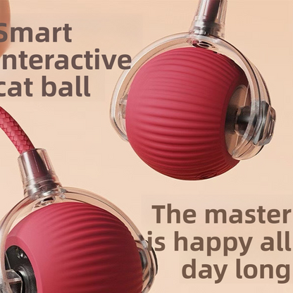 Interactive Silicone Pet Ball