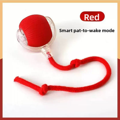 Interactive Silicone Pet Ball