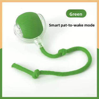 Interactive Silicone Pet Ball