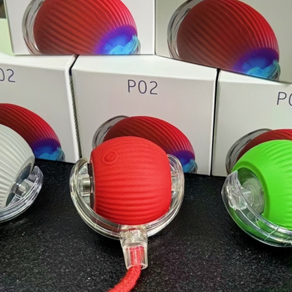 Interactive Silicone Pet Ball