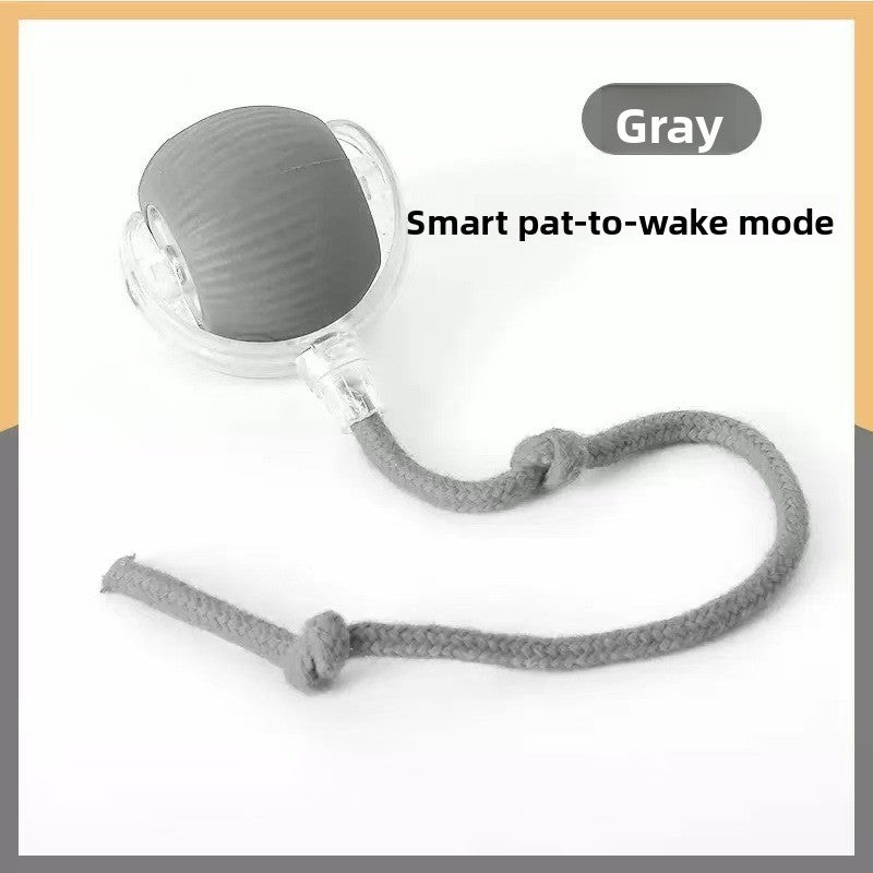 Interactive Silicone Pet Ball