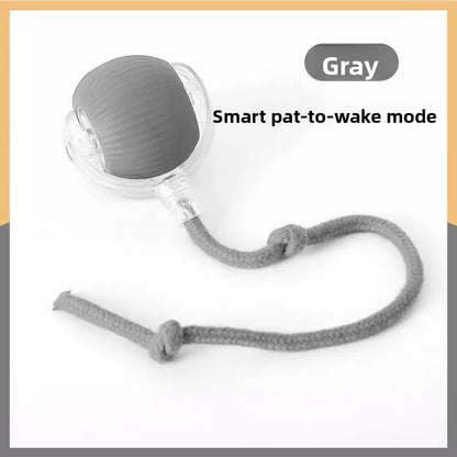 Interactive Silicone Pet Ball