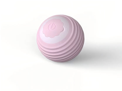 Interactive Silicone Pet Toy Ball with Rope