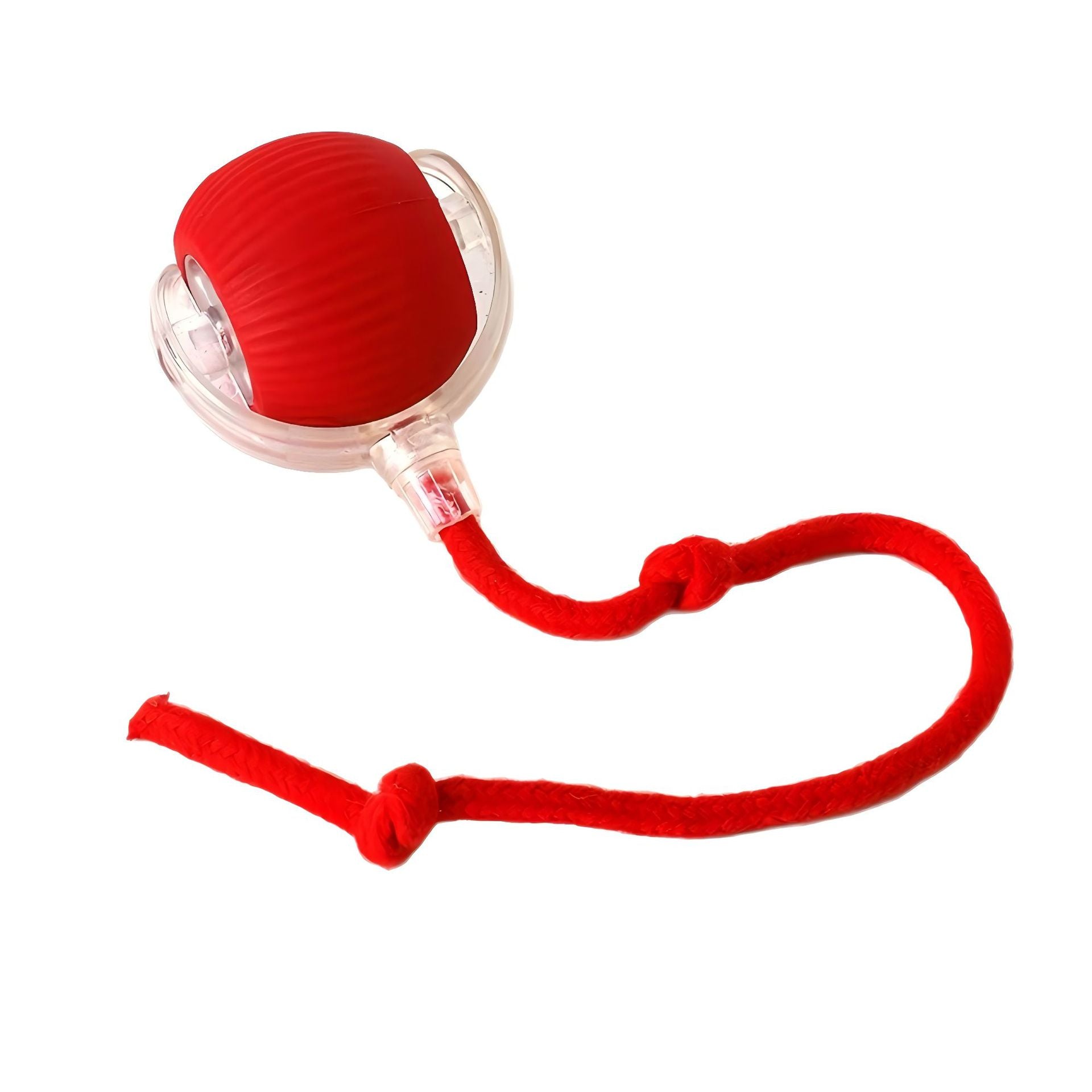 Interactive Silicone Pet Toy Ball with Rope