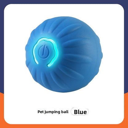 Interactive Smart Dog Toy Ball