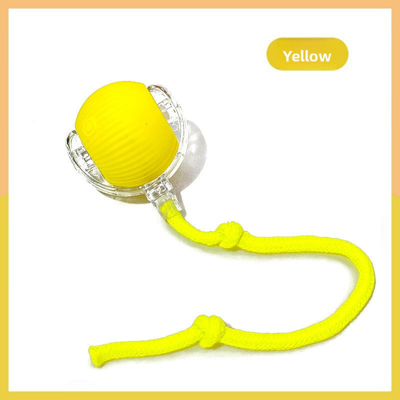 Interactive Smart Dog Toy Ball
