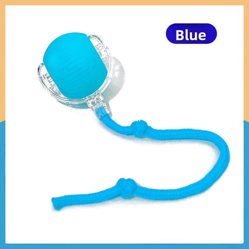 Interactive Smart Dog Toy Ball