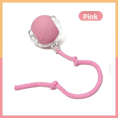Interactive Smart Dog Toy Ball