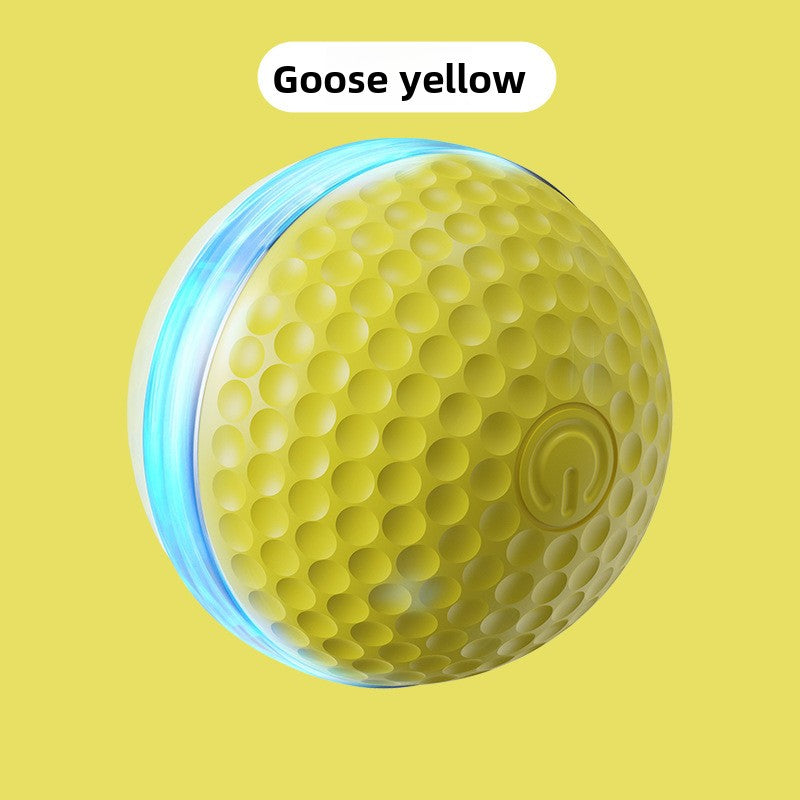Interactive Smart Dog Toy Ball