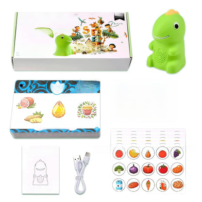 Interactive Talking Flash Cards Pen