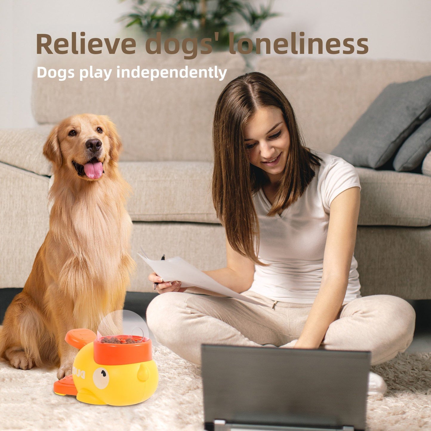 Interactive Toy Trainer Automatic Feeder