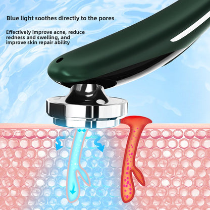 Ionic Facial Cleansing Massager with Built-in Battery