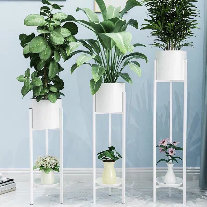 Iron Flower Stand