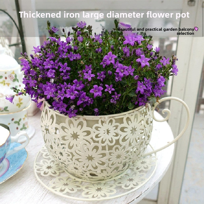 Iron Hollow Flower Pot