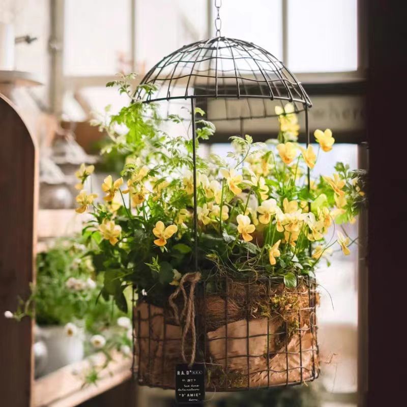 Iron Wire Birdcage Hanging Planter for Outdoor Garden