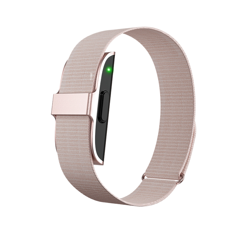 J2208A Smart Bracelet