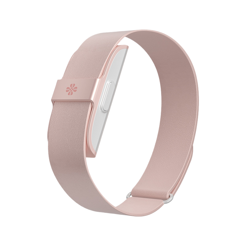 J2208A Smart Bracelet