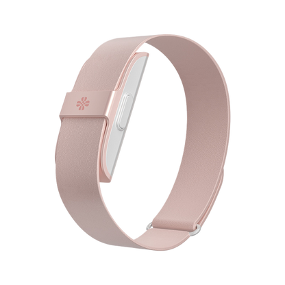 J2208A Smart Bracelet