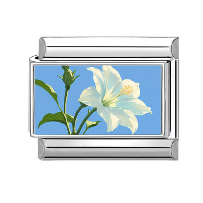 Jewelry Charms