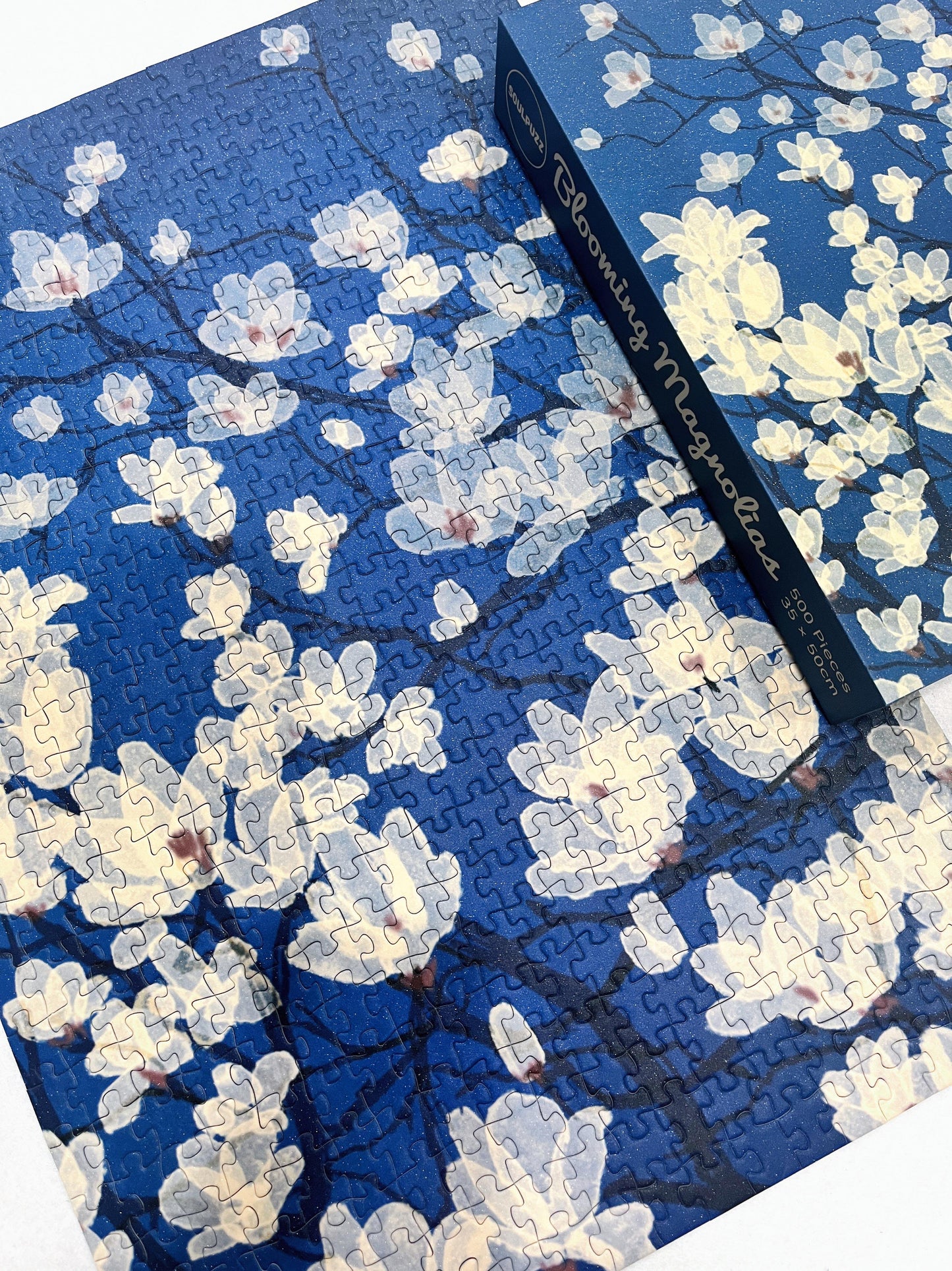 Jigsaw Puzzle