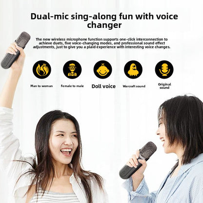 karaoke speaker