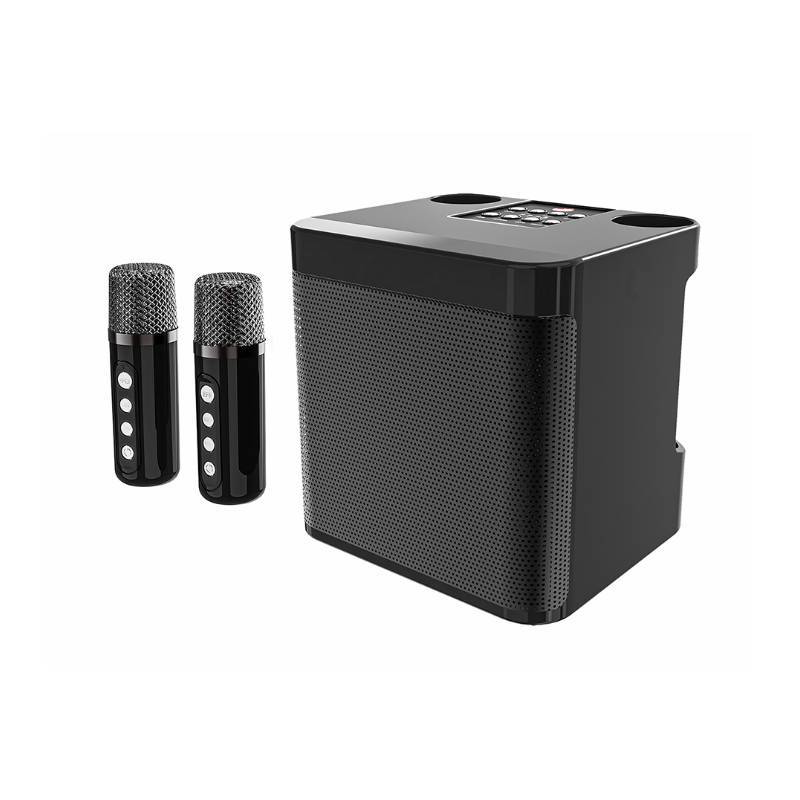 karaoke speaker