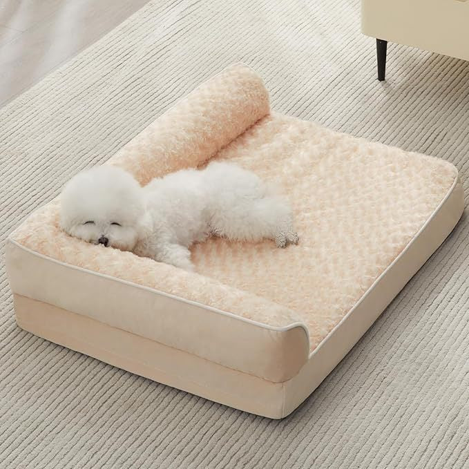 kennel