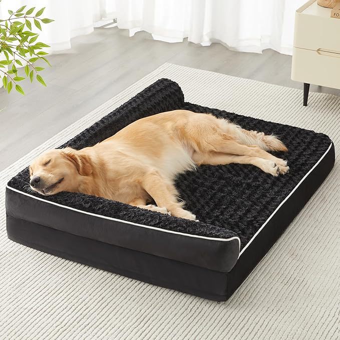 kennel