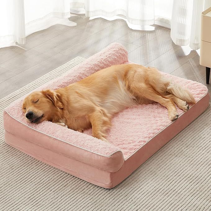 kennel