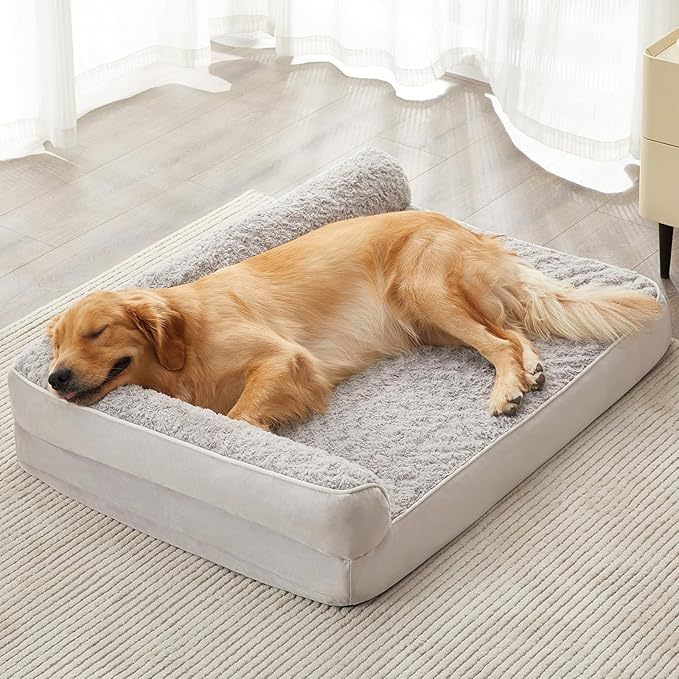 kennel