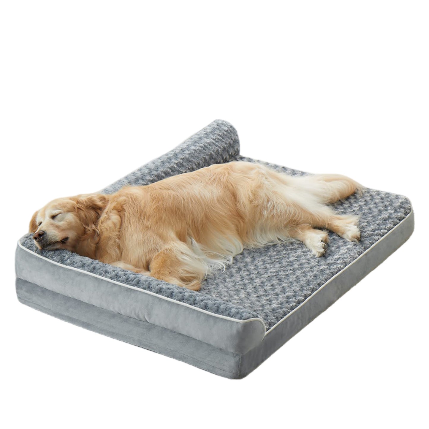 kennel