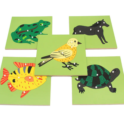 Kidsren's Kindergarten Intellectual Science and Education Toys Educational