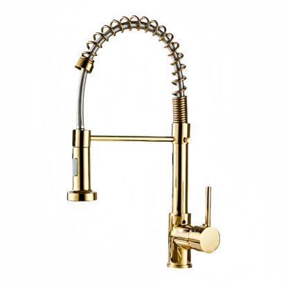 Kitchen Faucet