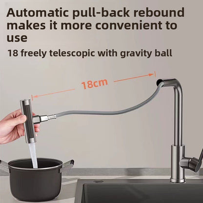 Kitchen Faucet