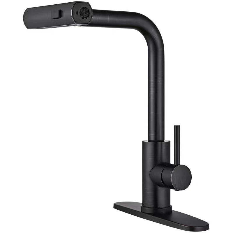 Kitchen Faucet