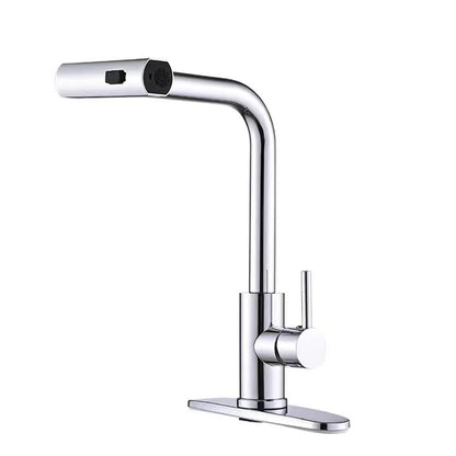 Kitchen Faucet