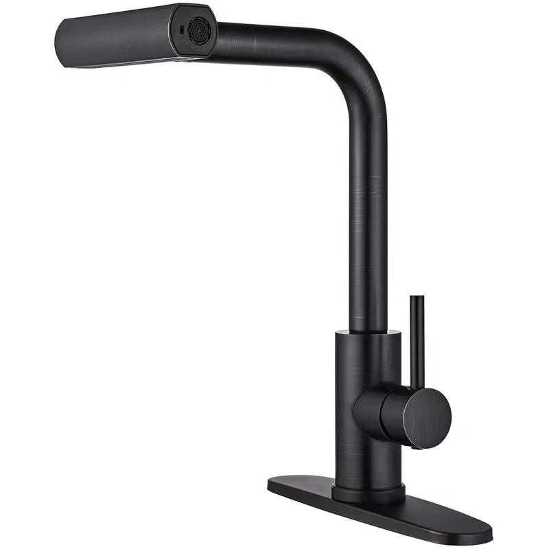 Kitchen Faucet