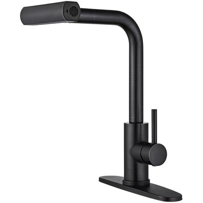 Kitchen Faucet