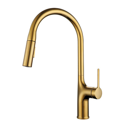 Kitchen Pull Faucet
