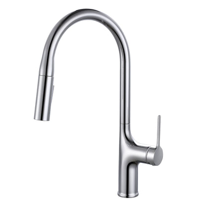 Kitchen Pull Faucet