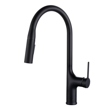 Kitchen Pull Faucet