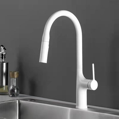 Kitchen Pull Faucet