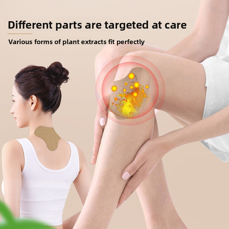 Knee, lumbar spine, cervical vertebra, shoulder joint patches