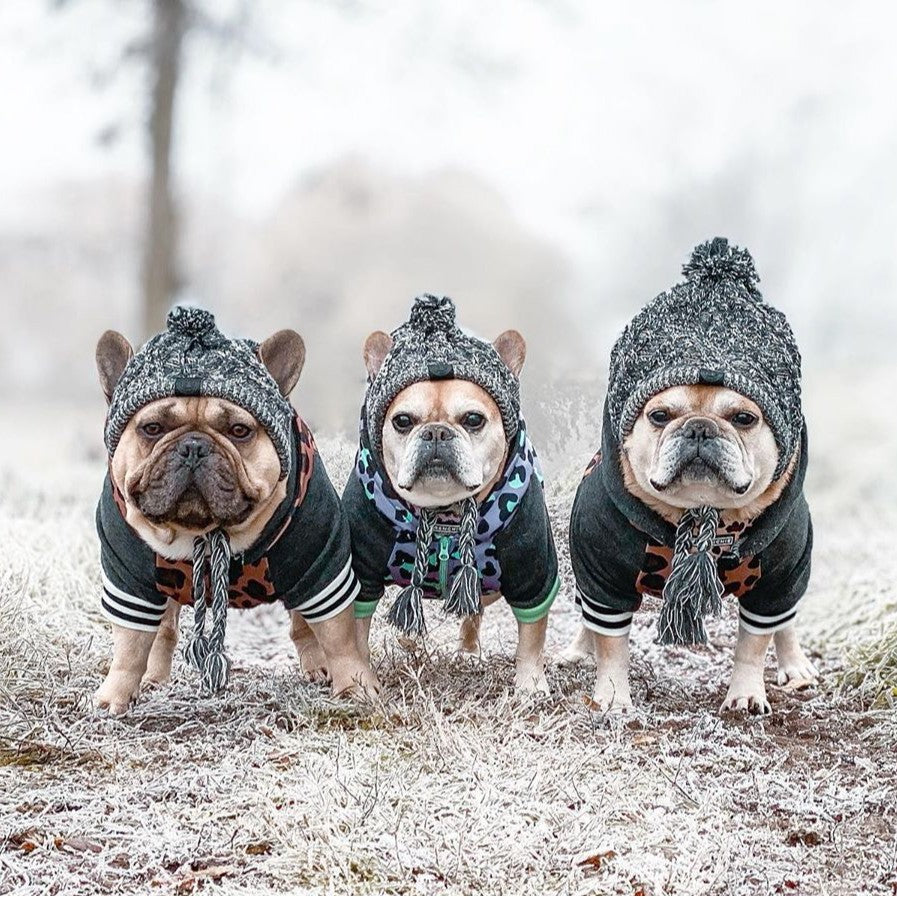 Knitted Puffy Ball Pet Hat for Dogs