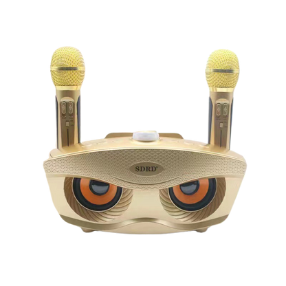 KTV Set Bluetooth Speaker All-in-One