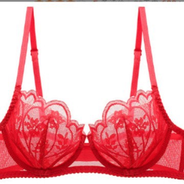 Lace bra