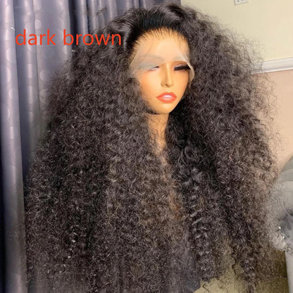 Lace Front Curly Human Hair Blend Wig
