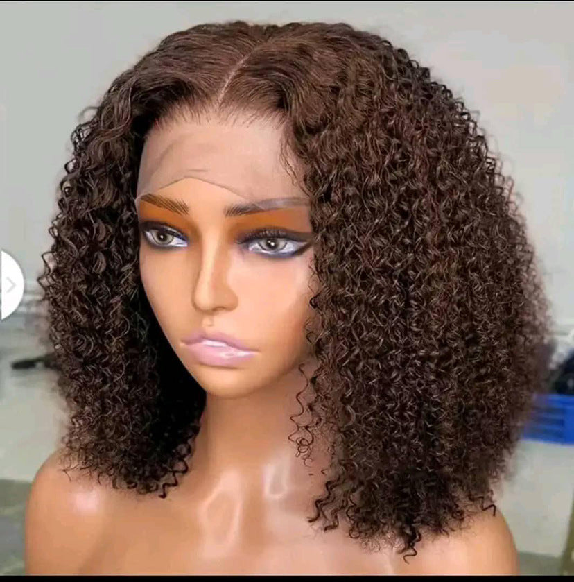 Lace Front Curly Synthetic Wig