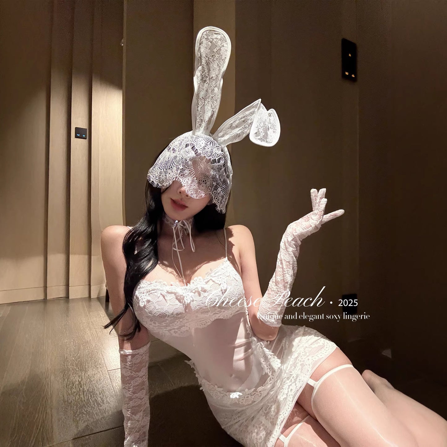 Lace Mesh Nightgown Dress